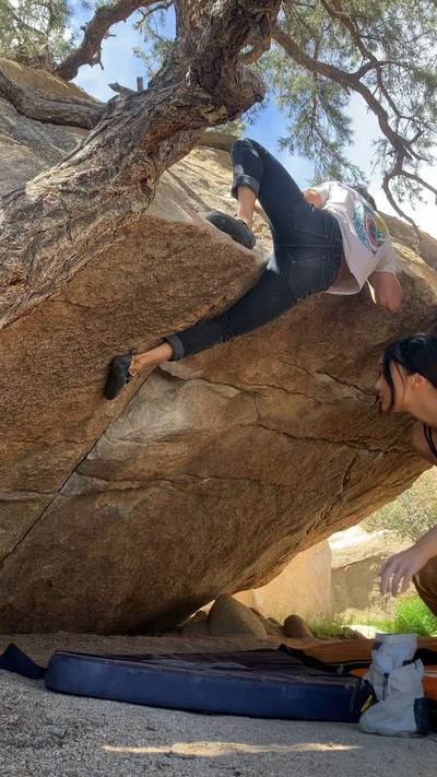 Yabo Roof v3, Joshua Tree - Beta Video from advian