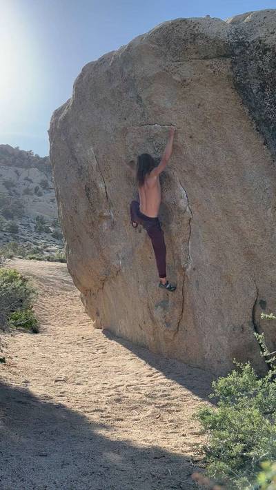 Zen Flute v10, Bishop - Beta Video from Dyno_Guru
