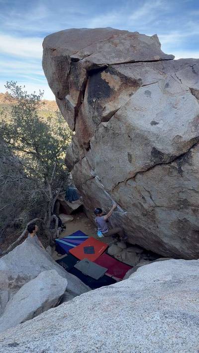 EJ Deluxe v5, Joshua Tree - Beta Video from tendonissues