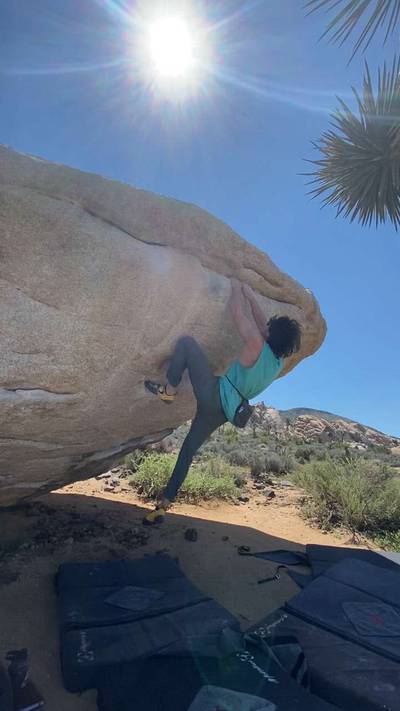 Meadows Direct v6, Joshua Tree - Beta Video from aviv