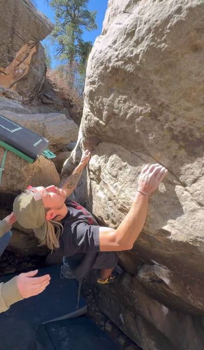 TED v7, Roy - Beta Video from brando