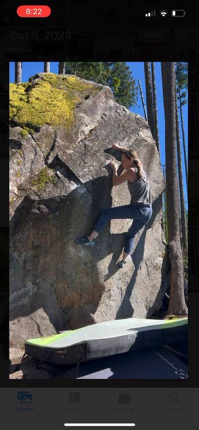 Midnight Lichen v4, Gold Bar - Beta Video from Rachel.Kause