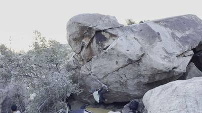 EJ Deluxe Escape v3, Joshua Tree - Beta Video from Herb_Sends