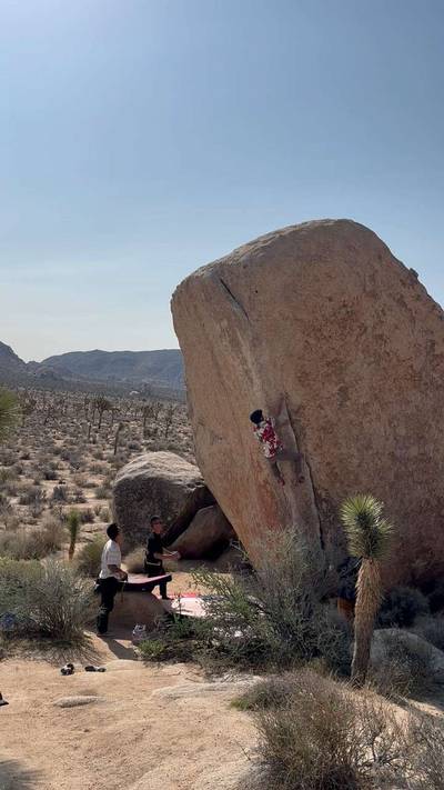 White Rastafarian v3, Joshua Tree - Beta Video from bfesqueda
