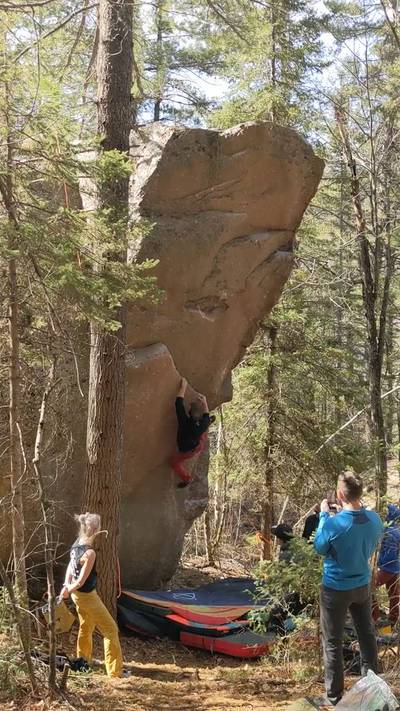Rogue Pogue v5, The Nooks - Beta Video from G.R.