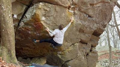 Drug Test Policy v6, Rocktown - Beta Video from werd