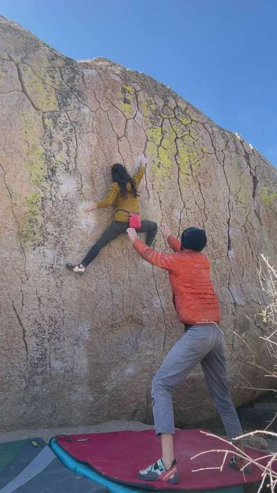 Green Wall Center v6, Bishop - Beta Video from mandykeathley