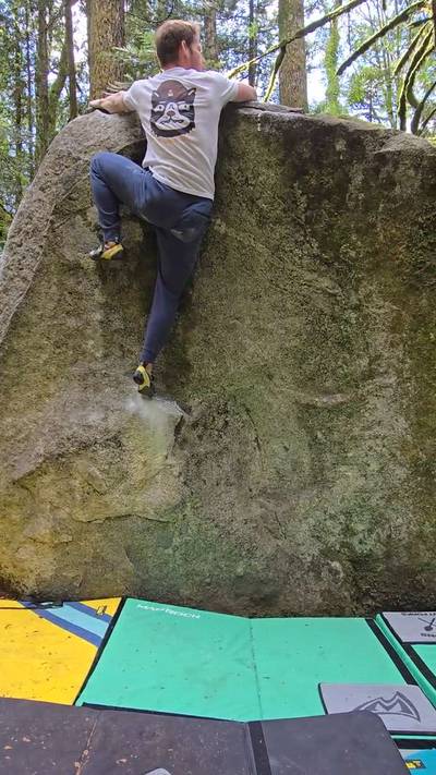 Zelda Dyno v4, Index - Beta Video from sadlungs
