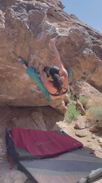 Monkey Hang v3, Bishop - Beta Video from estionawall
