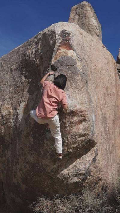 Fidelman Arete v1, Joshua Tree - Beta Video from rachelchian9