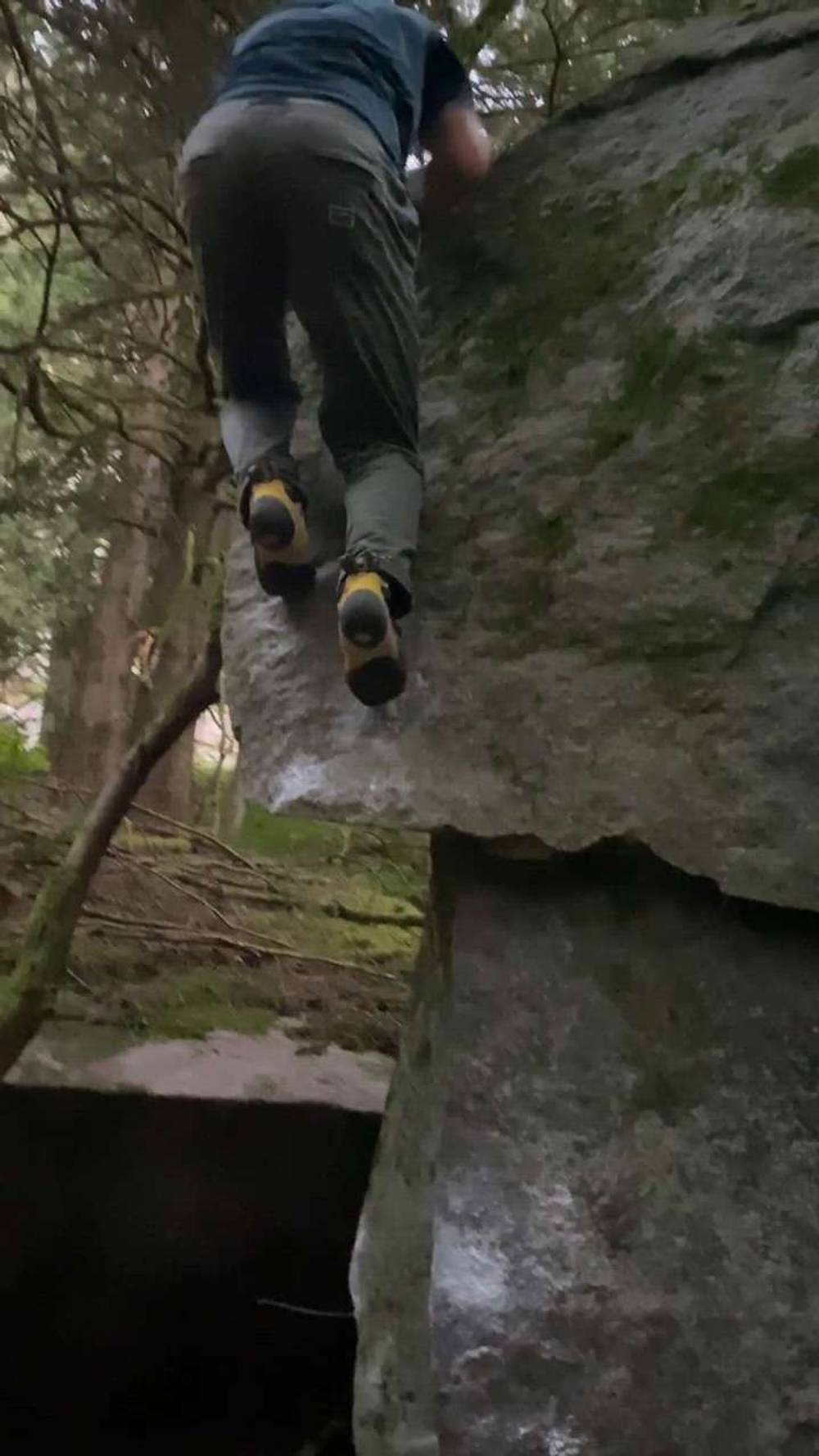 Salmon Belly v4, Fraser Valley - Beta Video from tredford