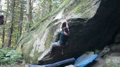 Half Pint v5, Fraser Valley - Beta Video from tredford