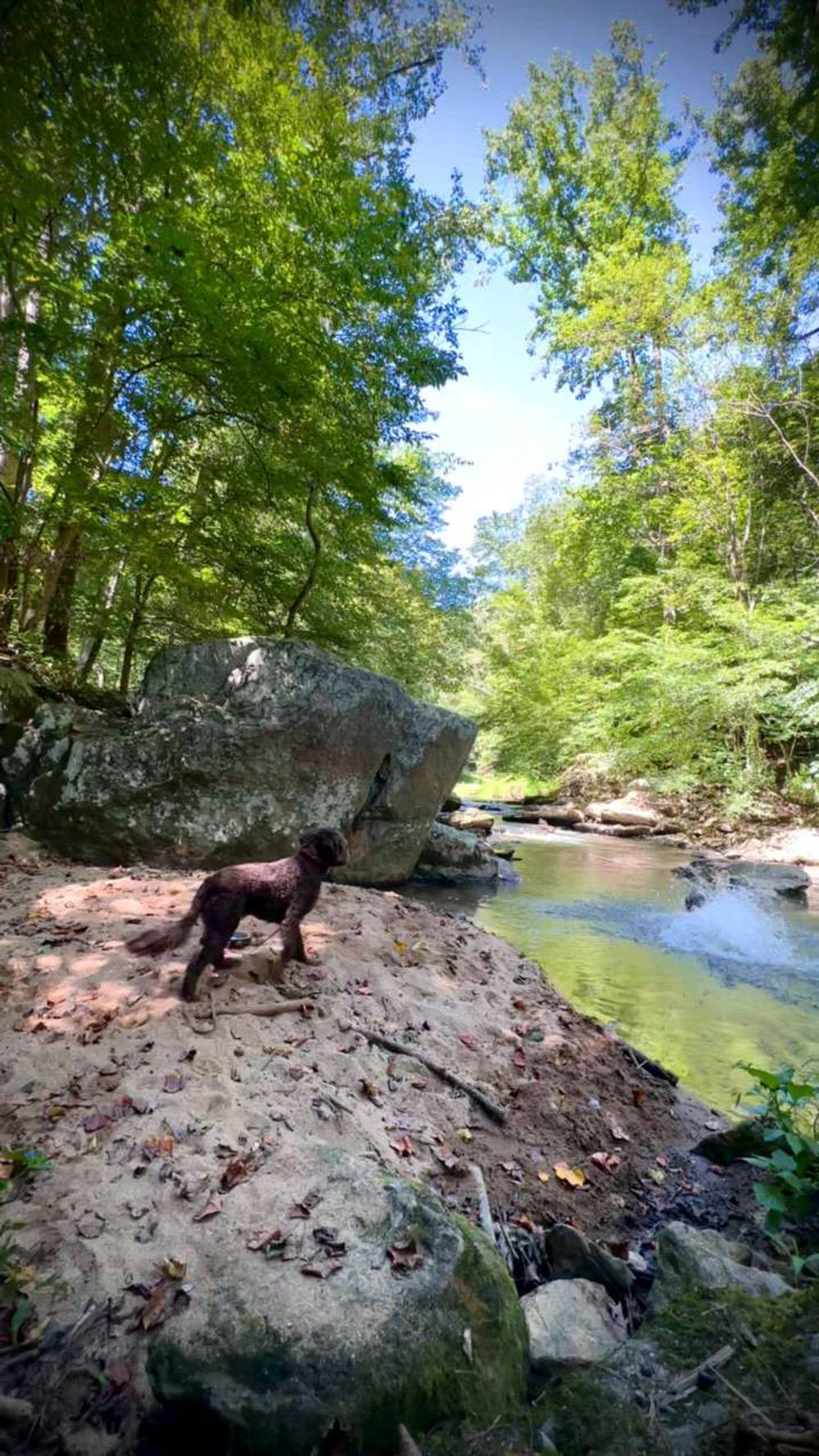 Sploosh v0, Gunpowder Falls - Beta Video from Theitmann