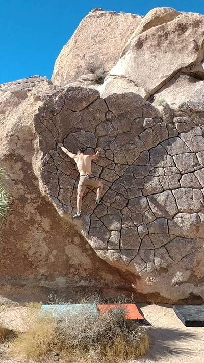 Ilicit Sweetie v0, Joshua Tree - Beta Video from Branerd