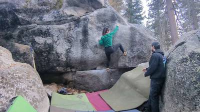 Wild Pack of Family Dogs v6, Lake Tahoe - Beta Video from esravesen