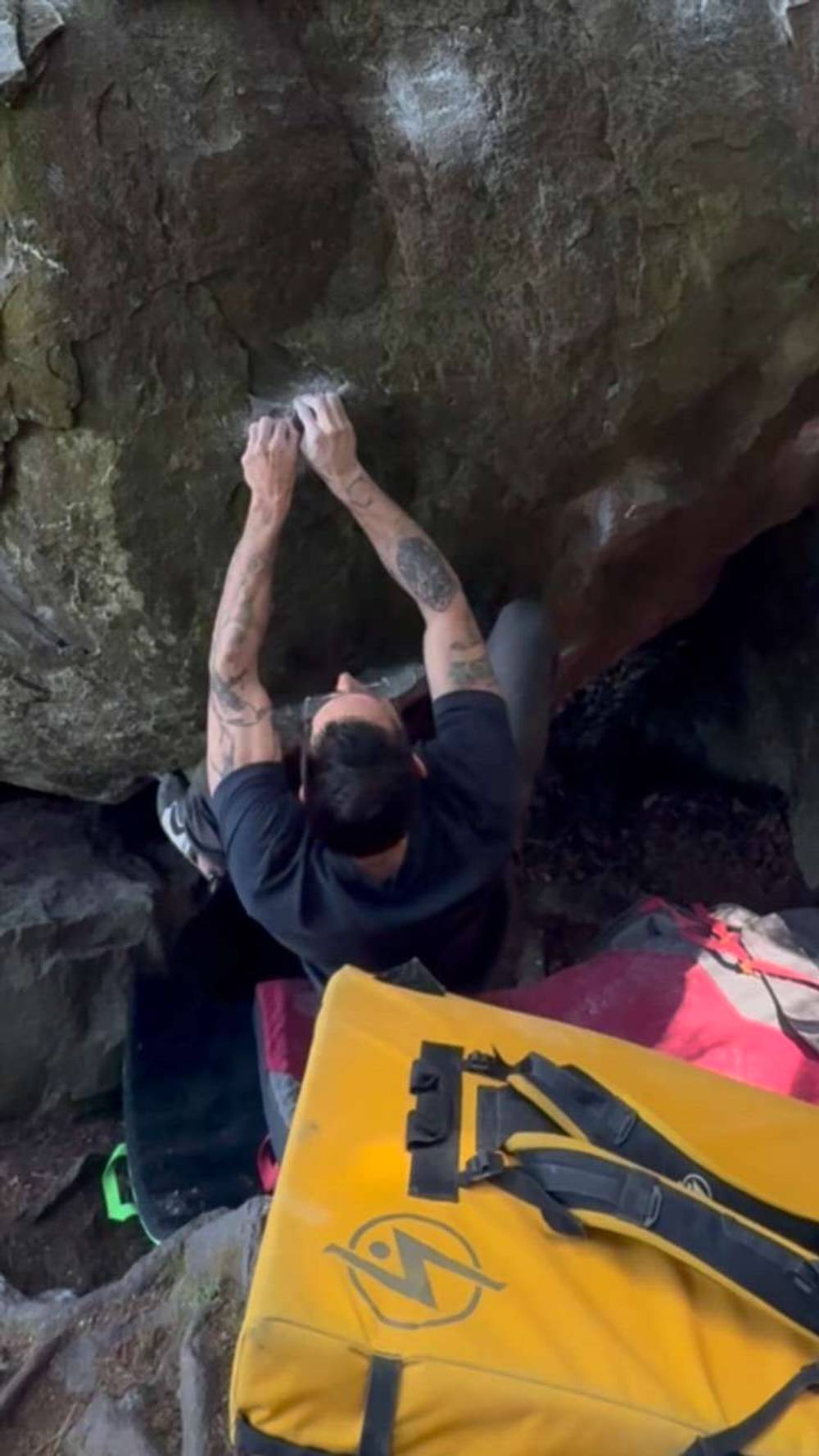 Cedar Direct v7, Carver - Beta Video from StinkeePete
