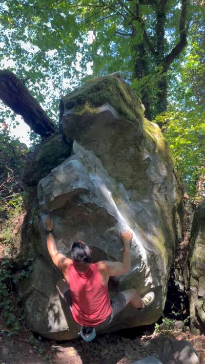 Gut Crunch v5, Carver - Beta Video from plumbis