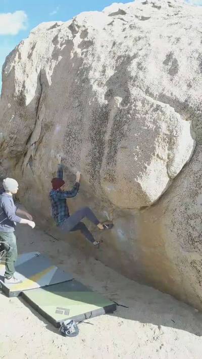 Milk the Milks v6, Bishop - Beta Video from veganAF