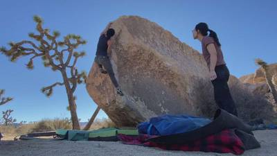 Halfling v2, Joshua Tree - Beta Video from yangsta