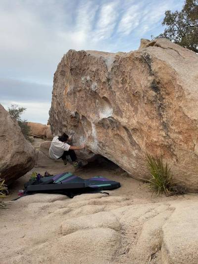 Chuckawalla Sit v6, Joshua Tree - Beta Video from Pikolai