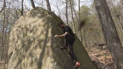 Slab 3 - Stefan v1, Adirondacks - Beta Video from burniesenders