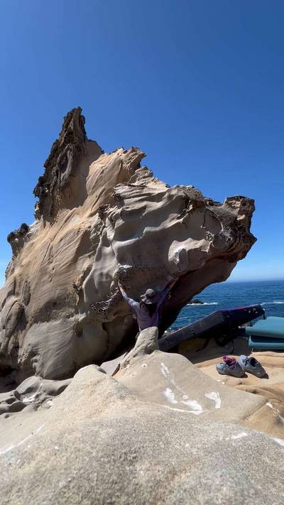 Triceratops v4, Salt Point - Beta Video from yan_ma