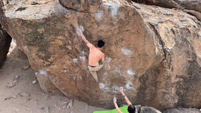 Molly v5, Bishop - Beta Video from SWSon