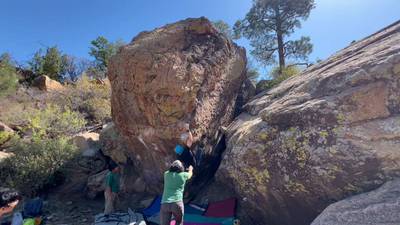 Jewbacca v5, Roy - Beta Video from brenner.rauch