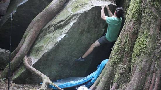 Lonely Boy v3, Fraser Valley - Beta Video from tredford