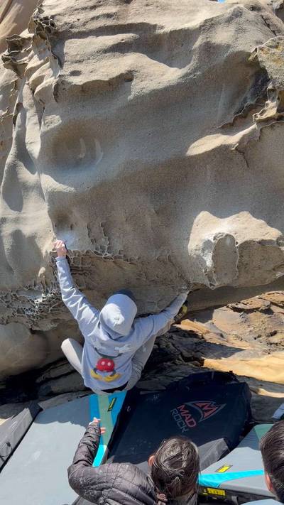 Triceratops v4, Salt Point - Beta Video from johnnyhaa