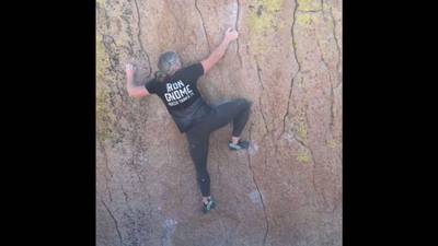 Green Wall Center v6, Bishop - Beta Video from mandoline
