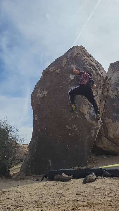 Attractive Brunette v2, Joshua Tree - Beta Video from OmgisthataPug