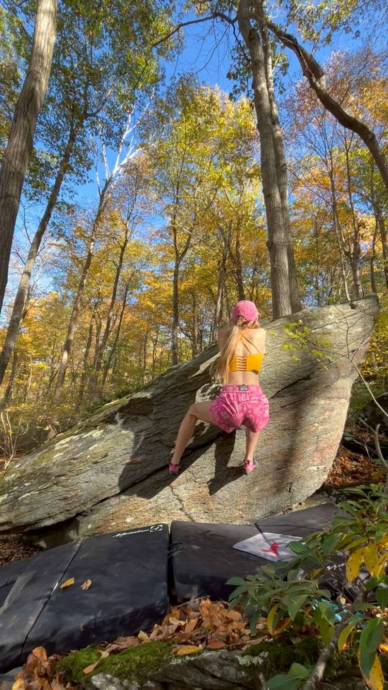 Farmer’s Market v0, Gunpowder Falls - Beta Video from cstepchuk