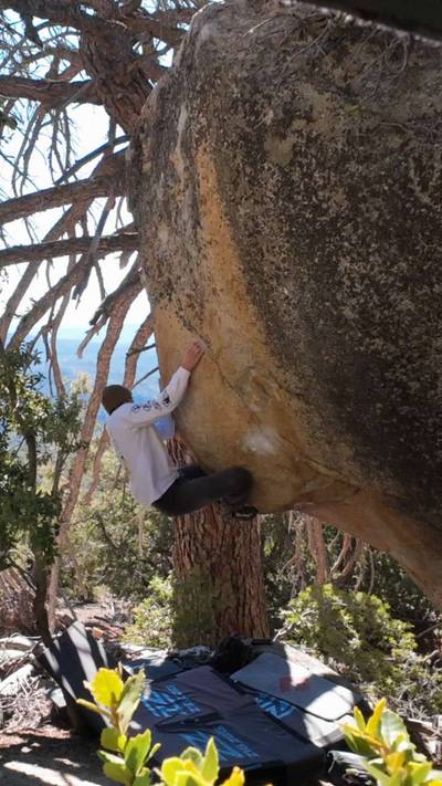 The Pumpkin King v10, Black Mountain - Beta Video from breakingbeta