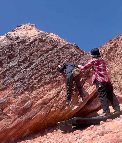 Fin Face v1, Red Rock - Beta Video from SealQueen