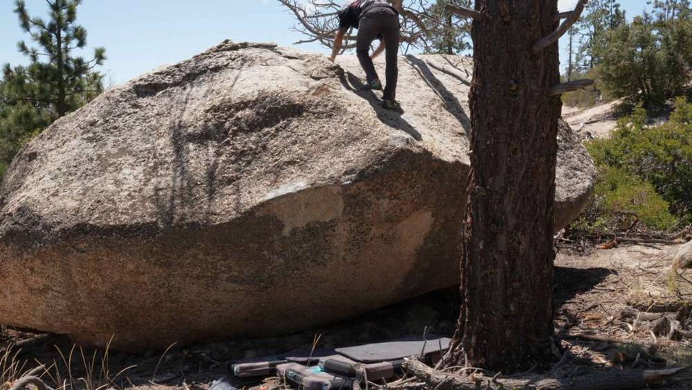 Undercover Boss v4, Horse Flats - Beta Video from breakingbeta