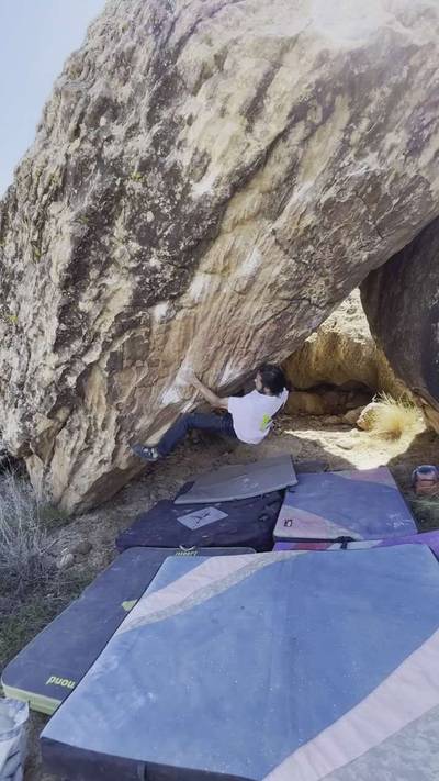 Man’s Work v10, Moe's Valley - Beta Video from thegnarwall