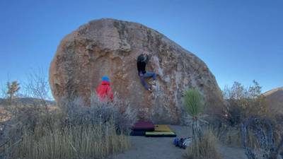 Fry Problem v3, Joshua Tree - Beta Video from nicholasludwig