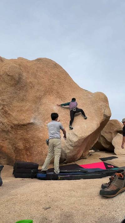 Stem Gem v4, Joshua Tree - Beta Video from lolonaka
