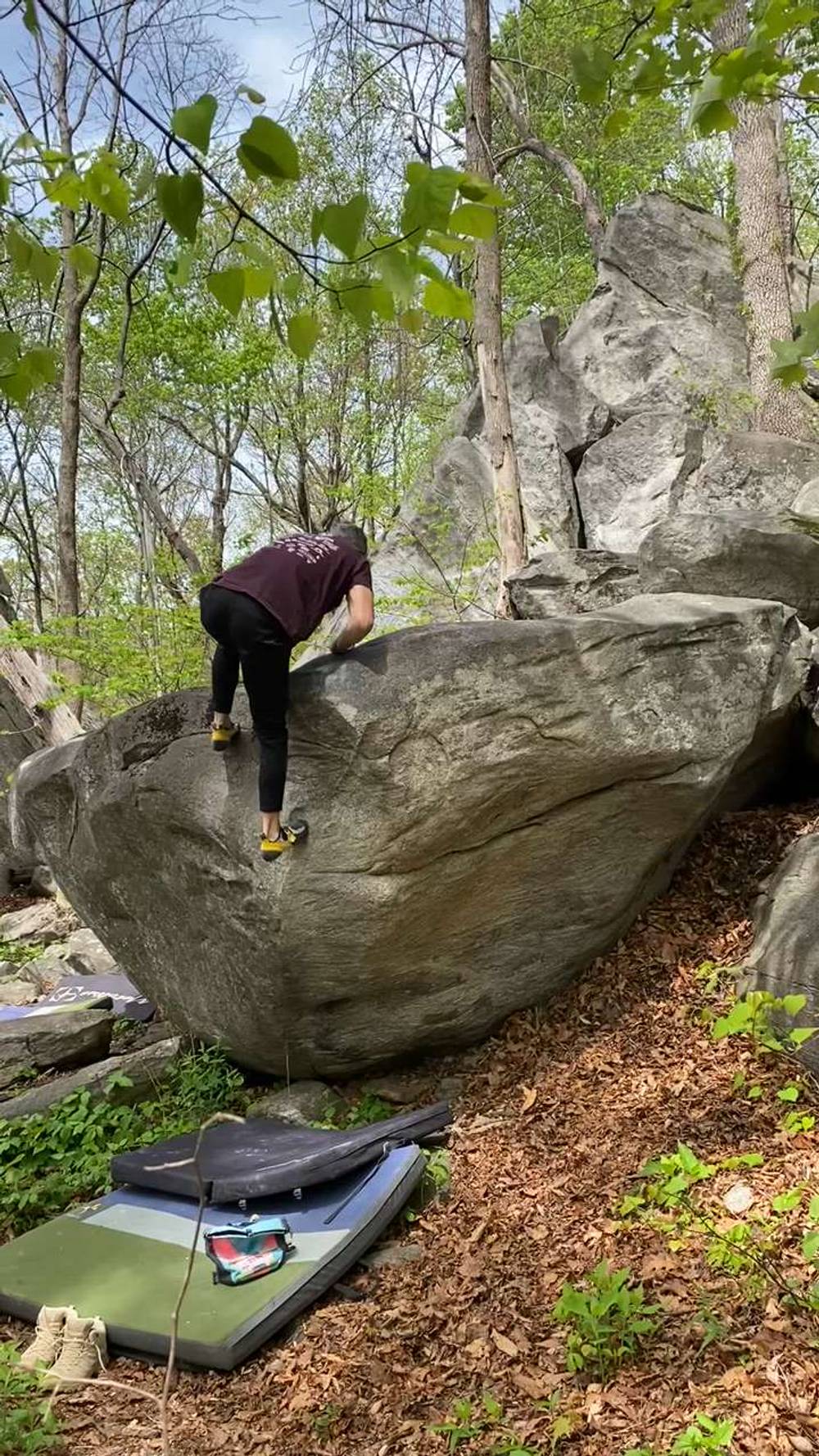 Left Silliness v3, Rumbling Bald - Beta Video from DStone