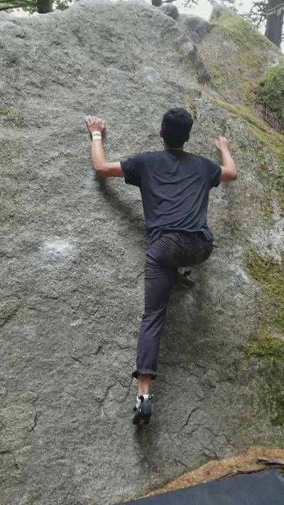 Newsroom v0, Squamish - Beta Video from chow
