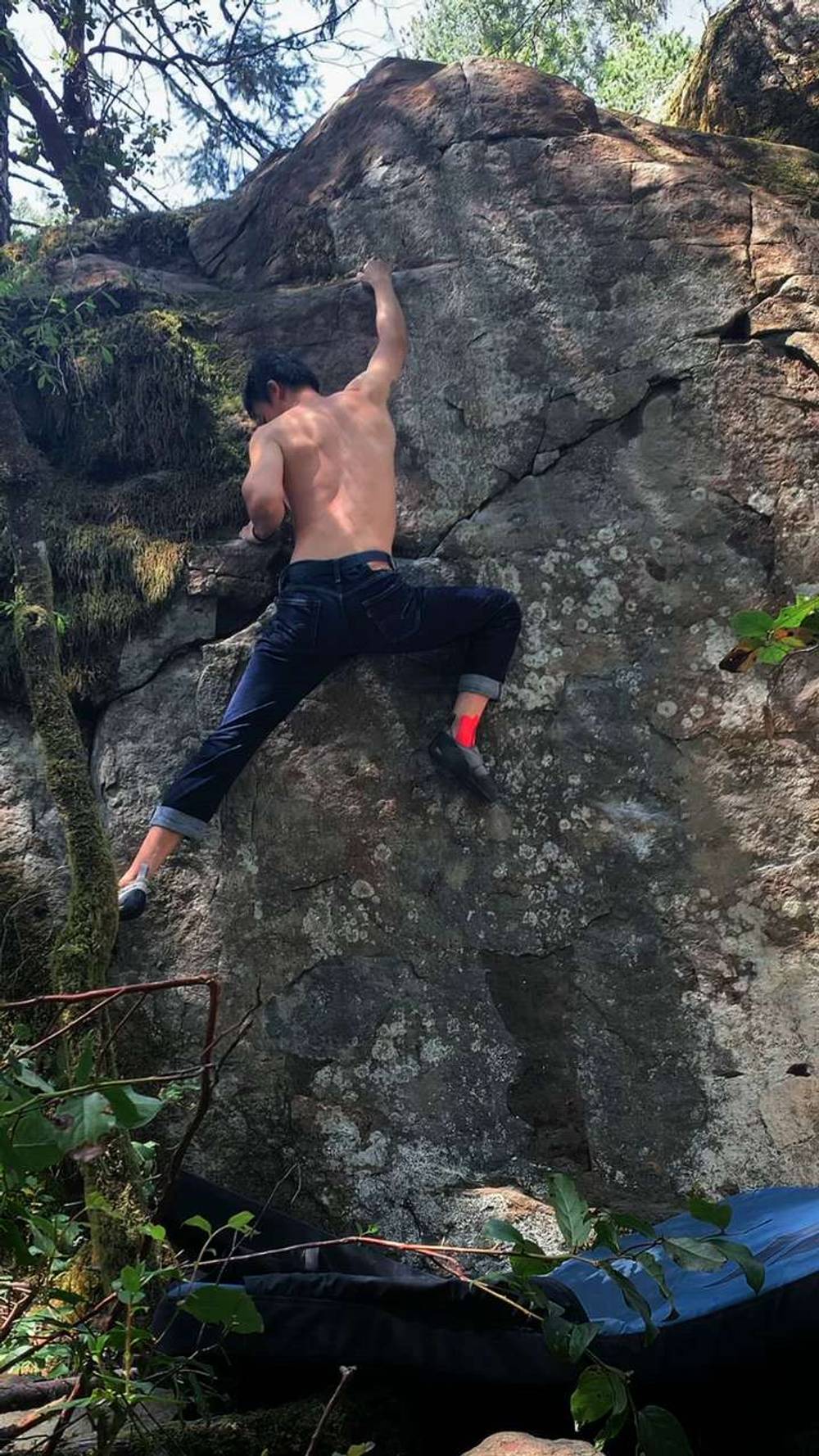 Heavy Petting v5, Victoria - Beta Video from Joshtree