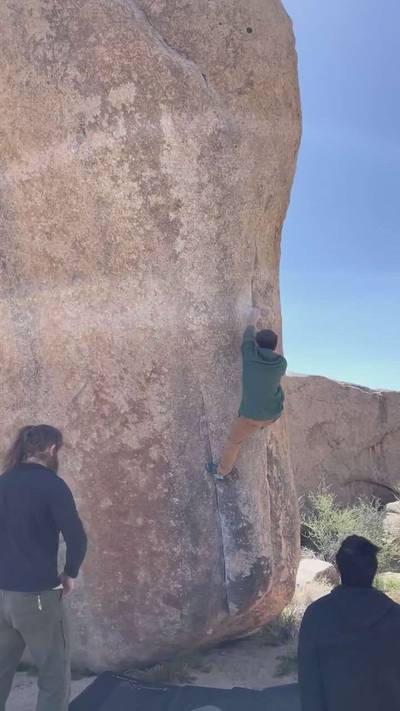 White Rastafarian v3, Joshua Tree - Beta Video from steven310