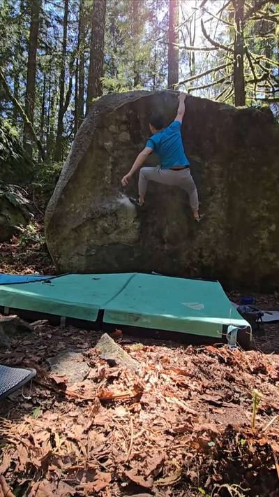 Zelda Dyno v4, Index - Beta Video from Indigo.b