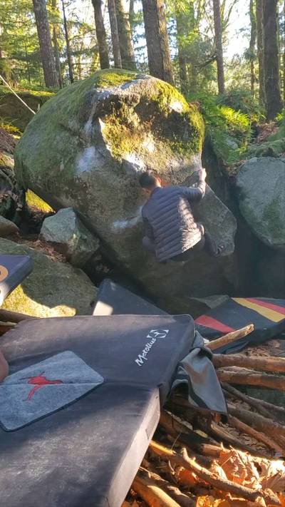 The Undergrad v6, Index - Beta Video from mike.cuts.feet