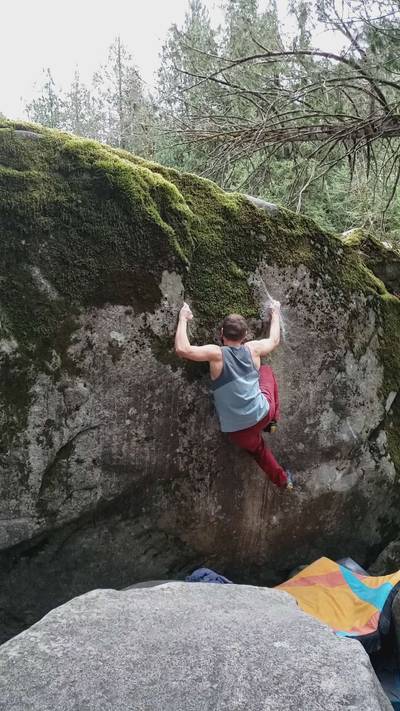 Flower v7, Index - Beta Video from gaorlov