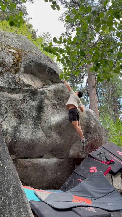 Wild Pack of Family Dogs v6, Lake Tahoe - Beta Video from willi