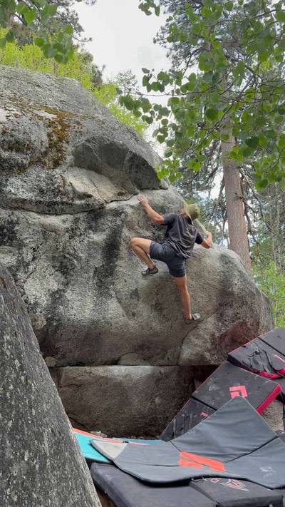 Wild Pack of Family Dogs v6, Lake Tahoe - Beta Video from ericps