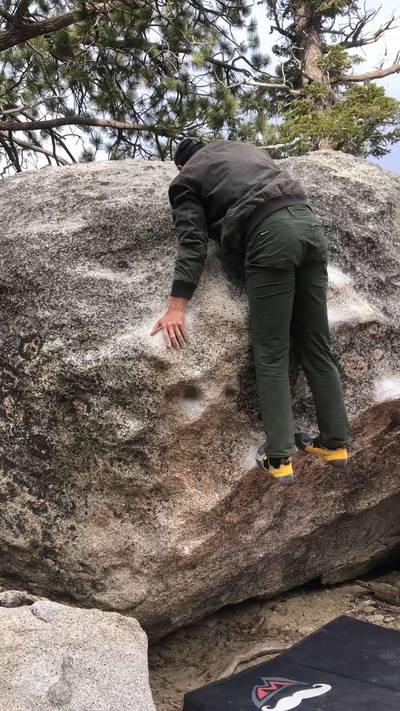 Humping the Walrus v4, Tramway - Beta Video from hakotaco