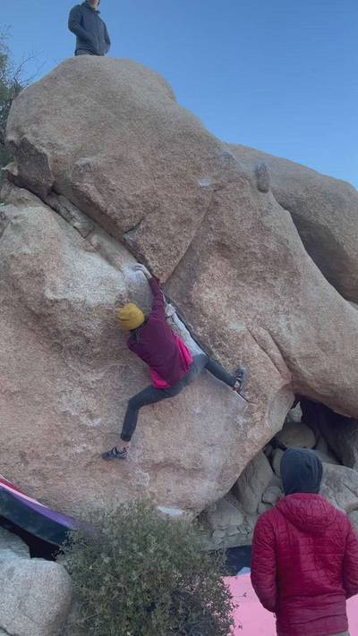 Yabba Dabba Don't v4, Joshua Tree - Beta Video from LittleBetaBird